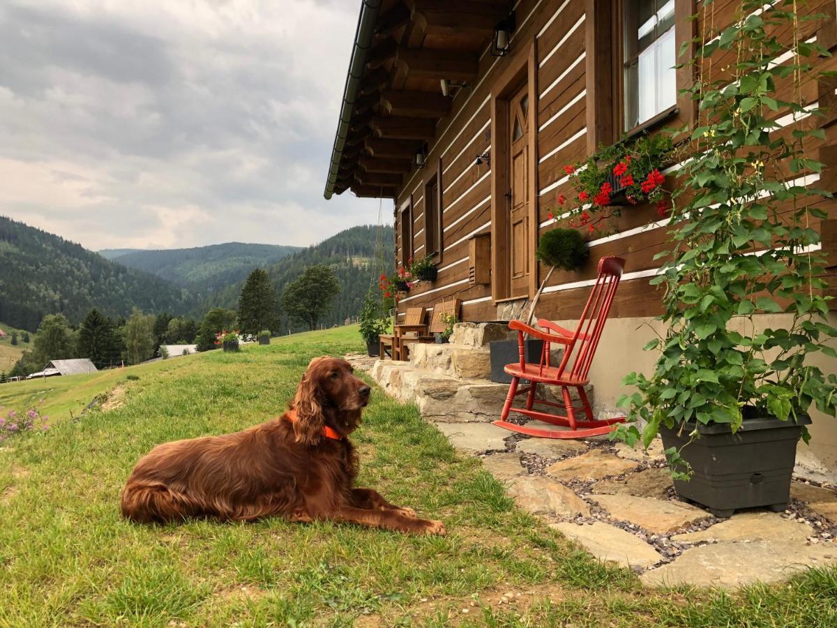Apartmán U Setra Pec pod Snezkou Exterior foto